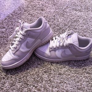 nike dunk low venice